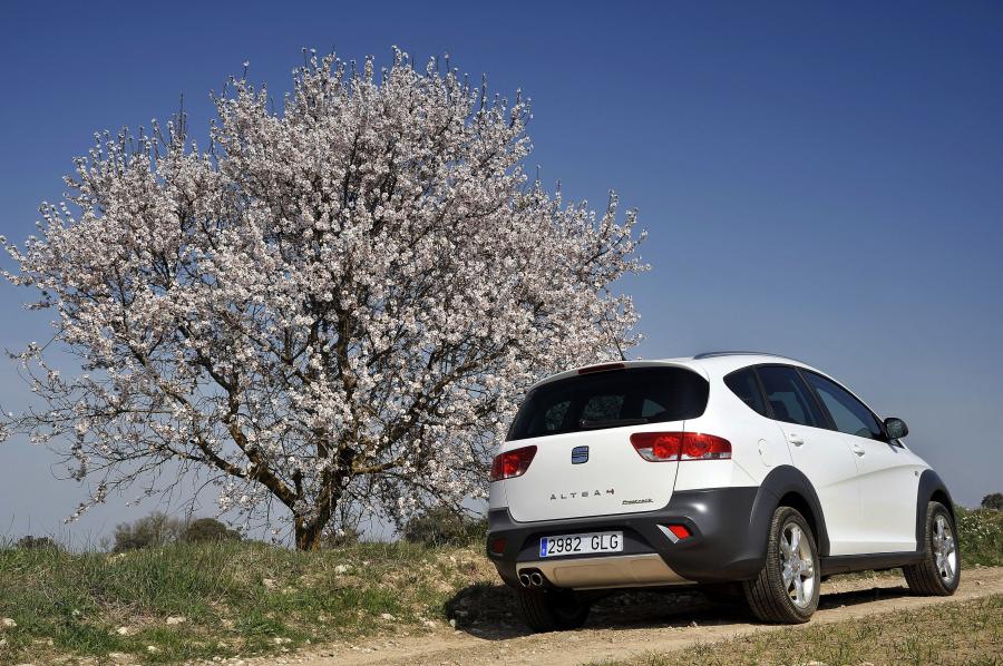  Seat Altea Freetrack 2007 года  (фото 28 из 38)